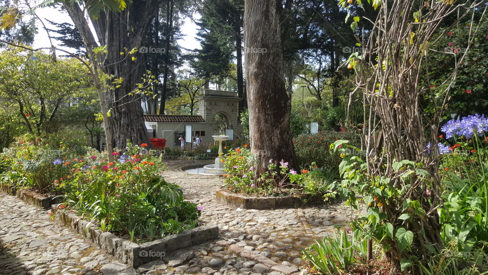 jardín de la Quinta De Bolivar Bogotá