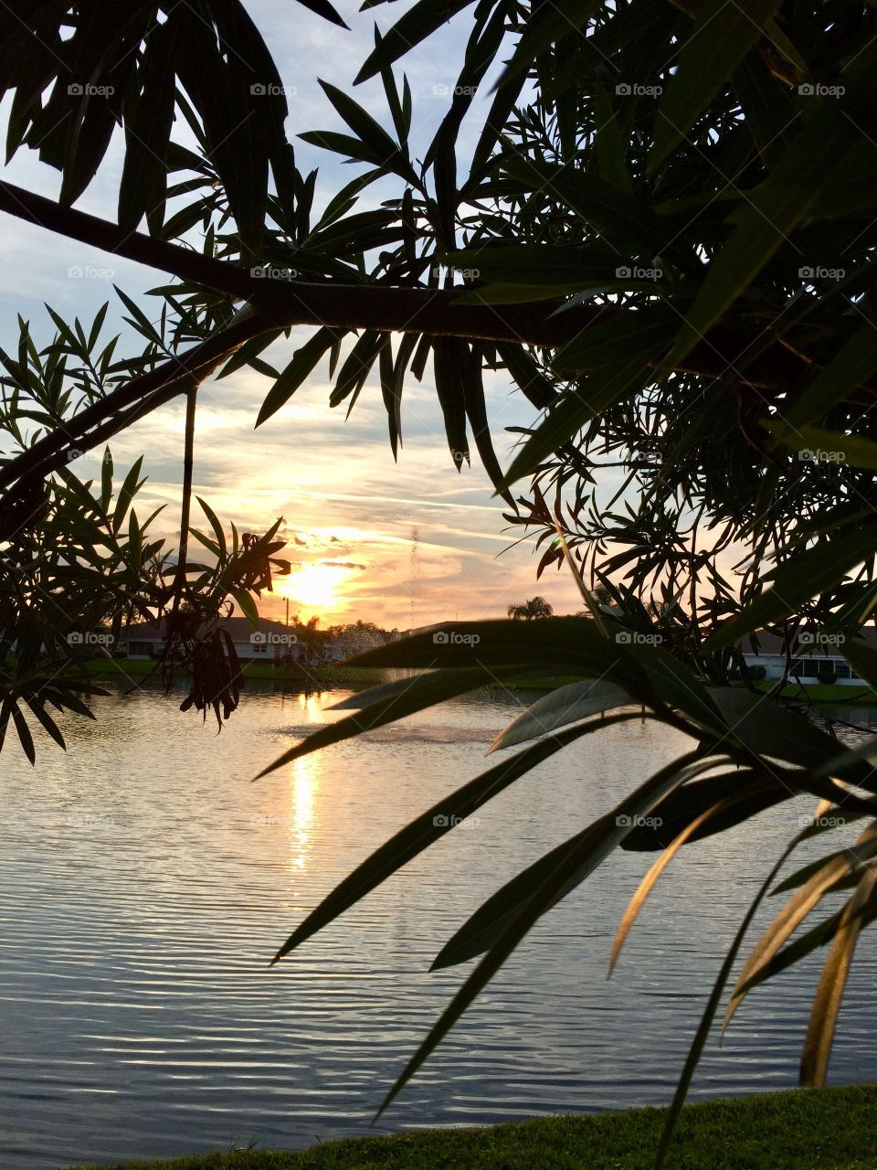 Tree , Sunset, Sunrise, Lake, water,