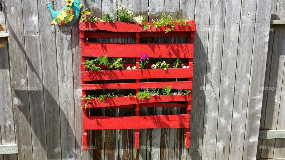 pallet garden