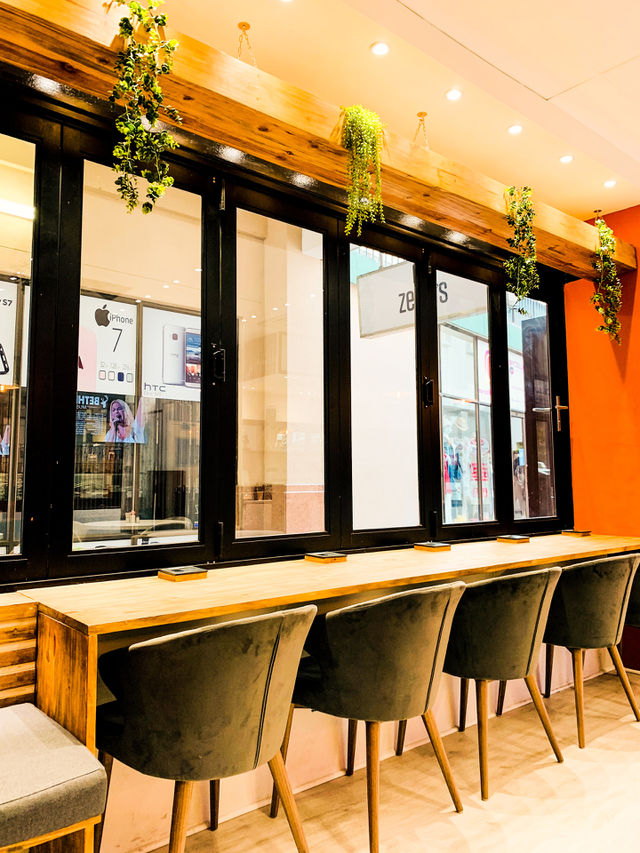 Beautiful sitting space in a coffee shop for single clients facing a glass window with green hanging plants.
