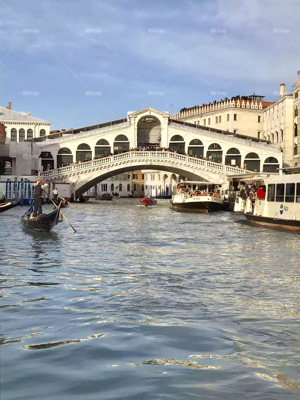 Rialto bridge Venice 