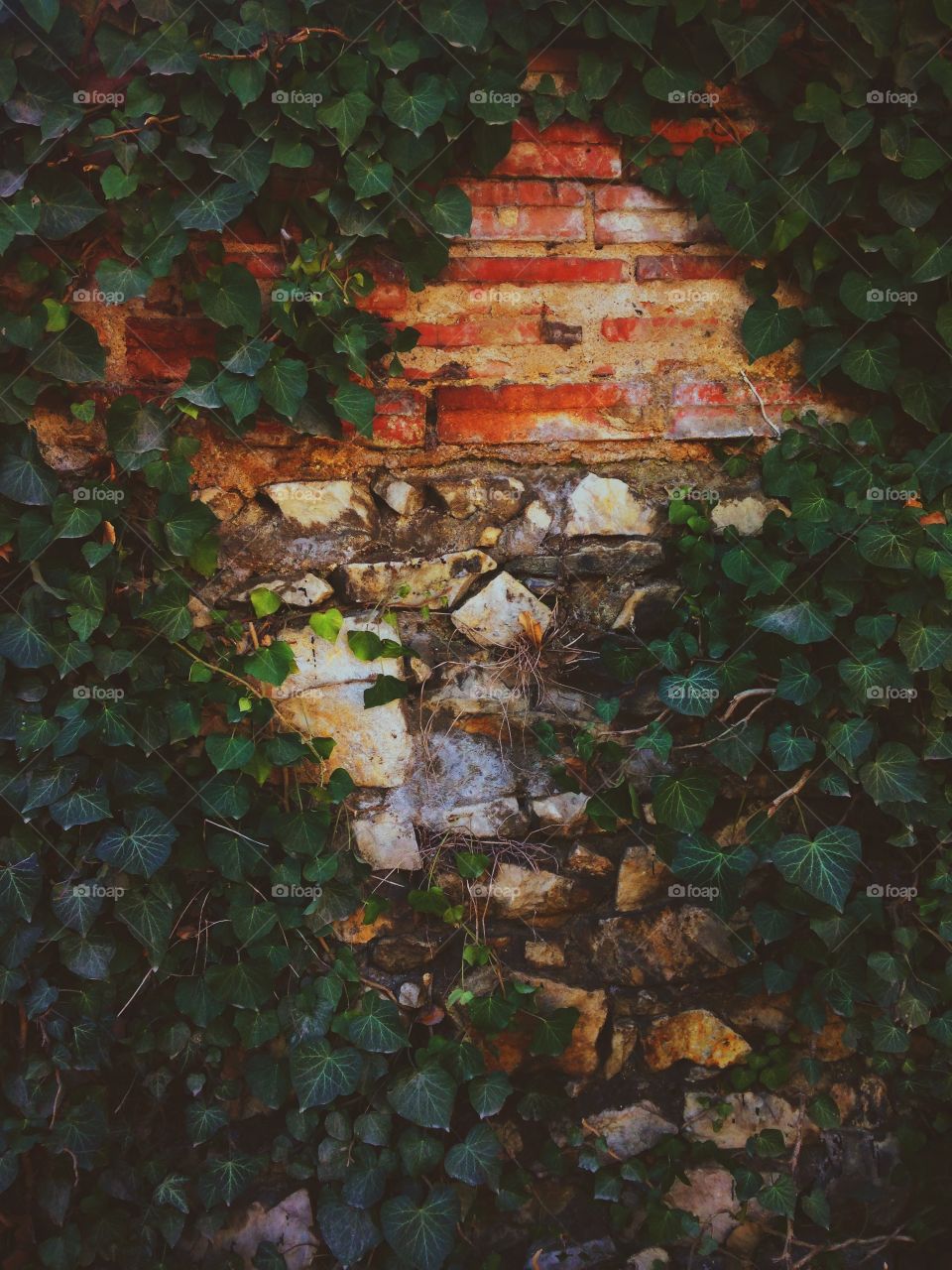 playing with the wall