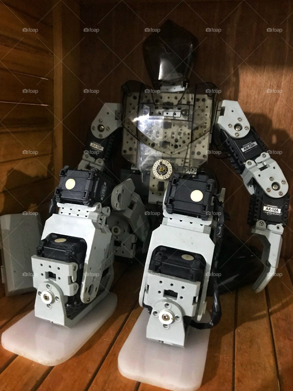 Robot and Electronic