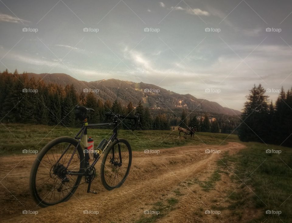 Brasov Romania Adventure biking in Transilvanian scenery