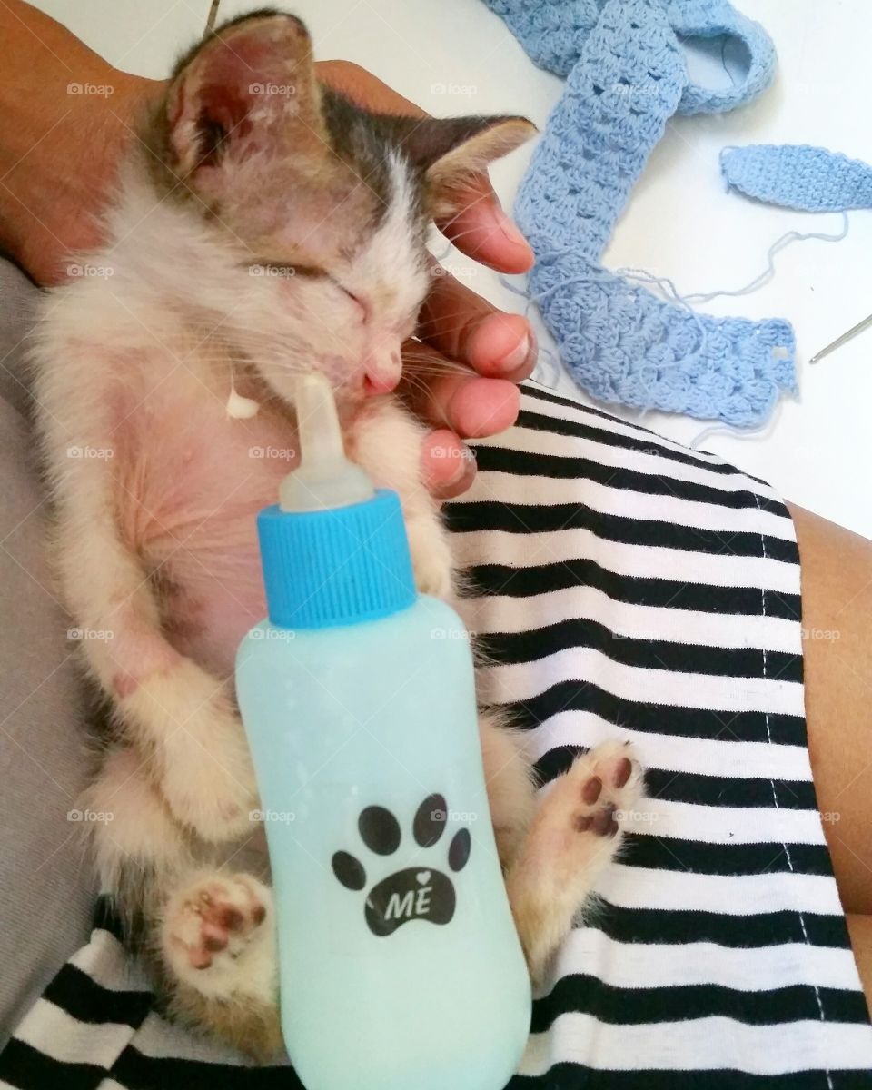 Kitten fall asleep with full belly on human mom's lap after get feed.