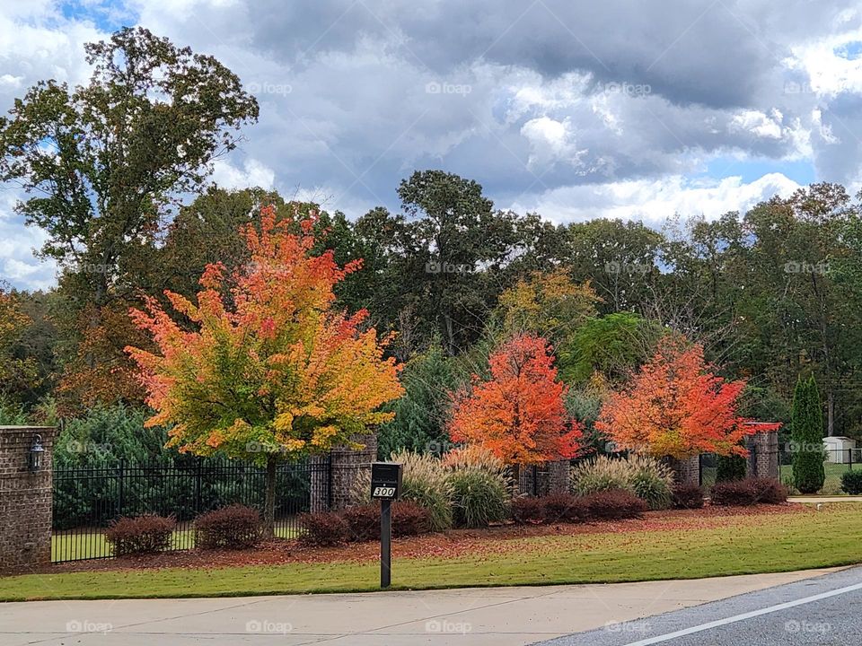 The Beauty of Autumn