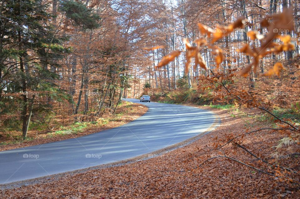 Autumn Landscape, Rhodopes Mountain, Bulgaria