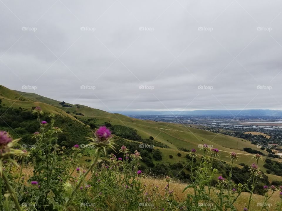 Silicon Valley from the hills