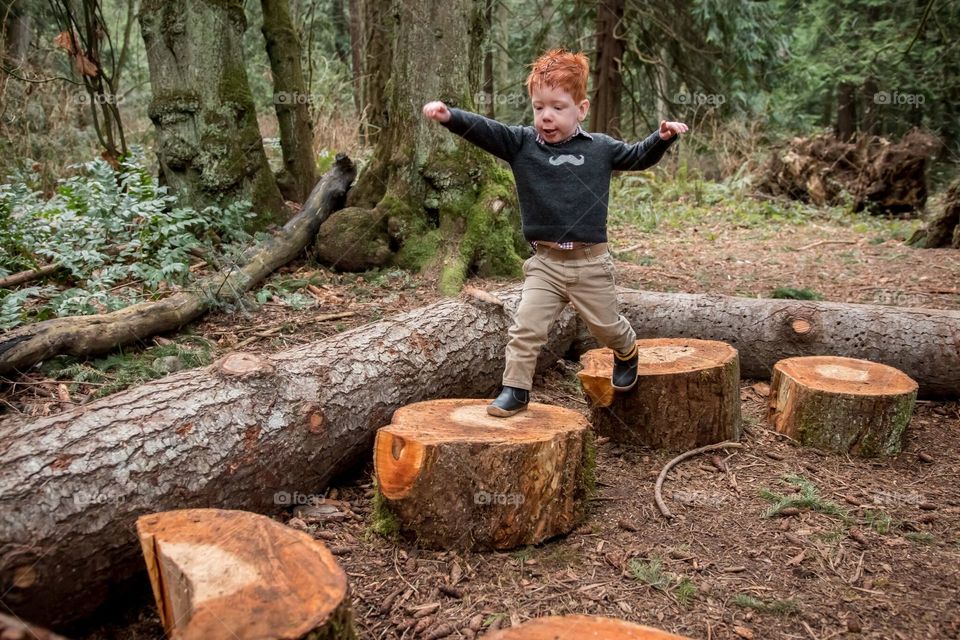 Toddler walks across tree stumps. Mount Douglas park, Vancouver Island, Canada 