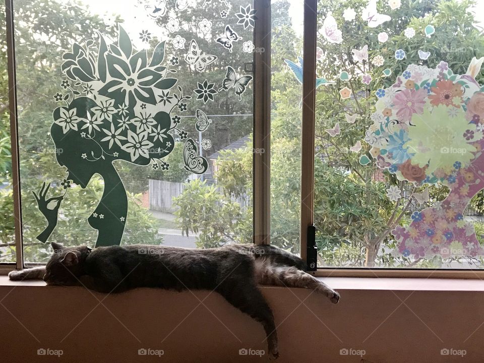 My kitty, lounging on the windowsill with his nose in the fresh air!! 