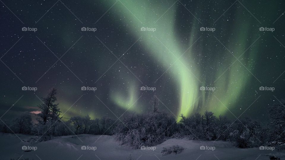 Night, aurora borealis, north, night north, polar region, night polar region, northern lights, stars, frost, frosty night, breath, cold, new year, Santa claus, northern santa claus, travel, night walk, shining sky, flashes, tundra, forest,