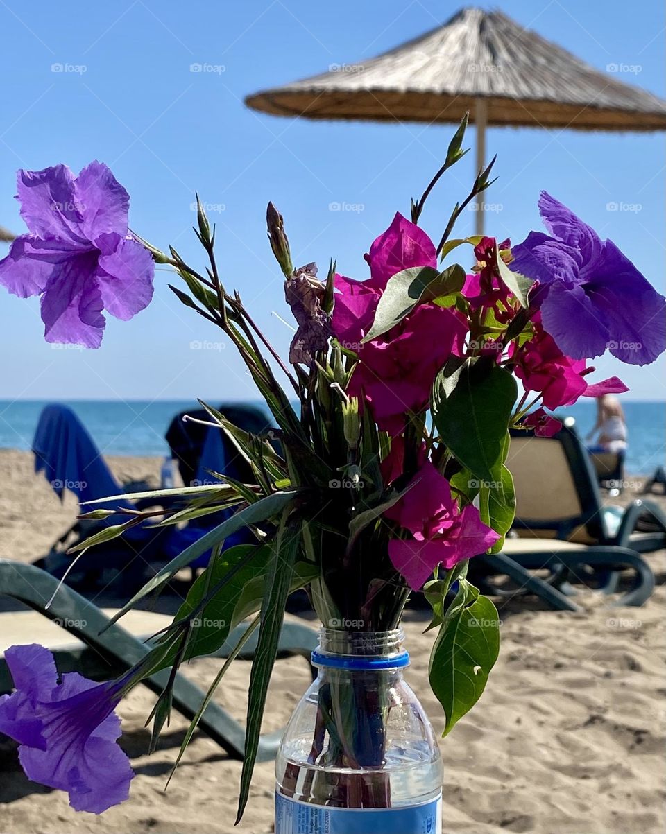 Beautiful flowers against beach 