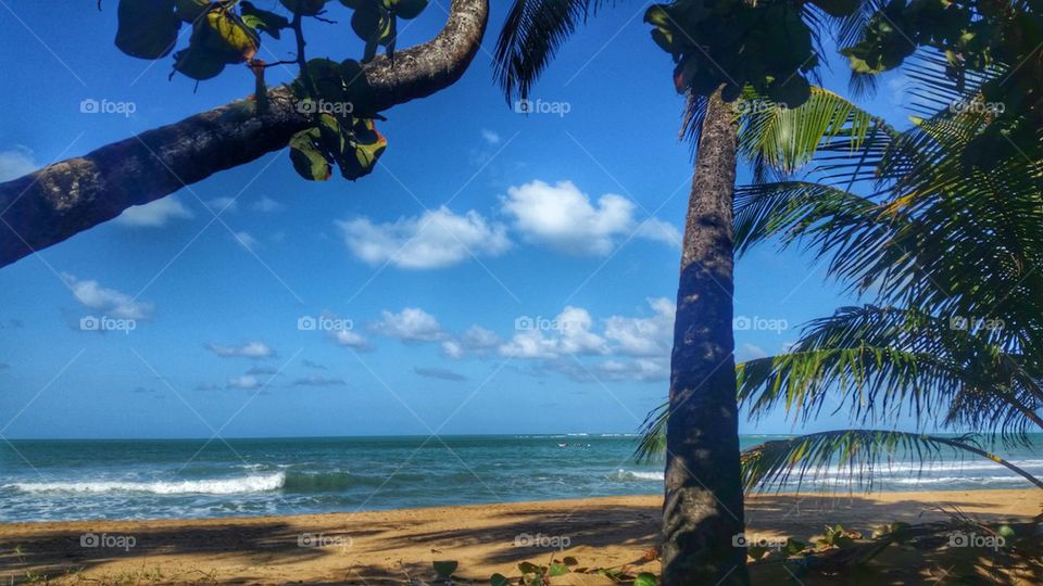 View of beach