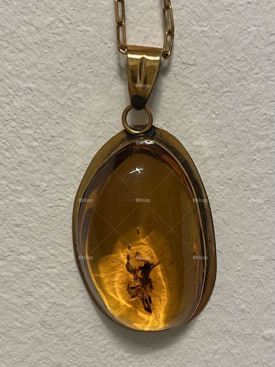 Mosquito caught in amber necklace.