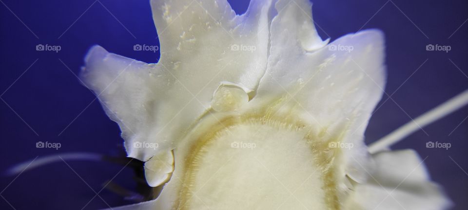 interior design creativity image