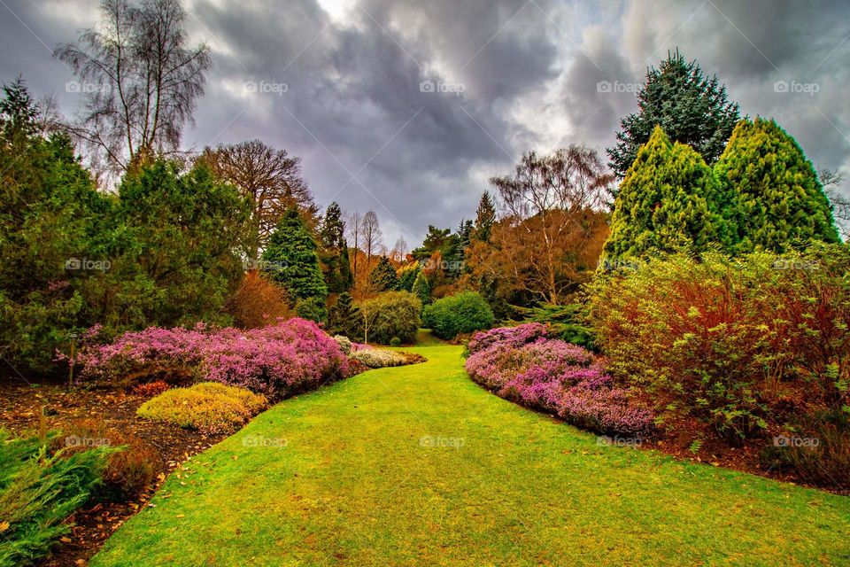 Immaculate garden view, England