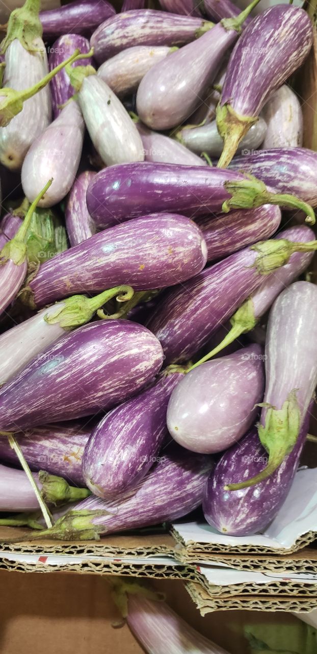 eggplants 🍆