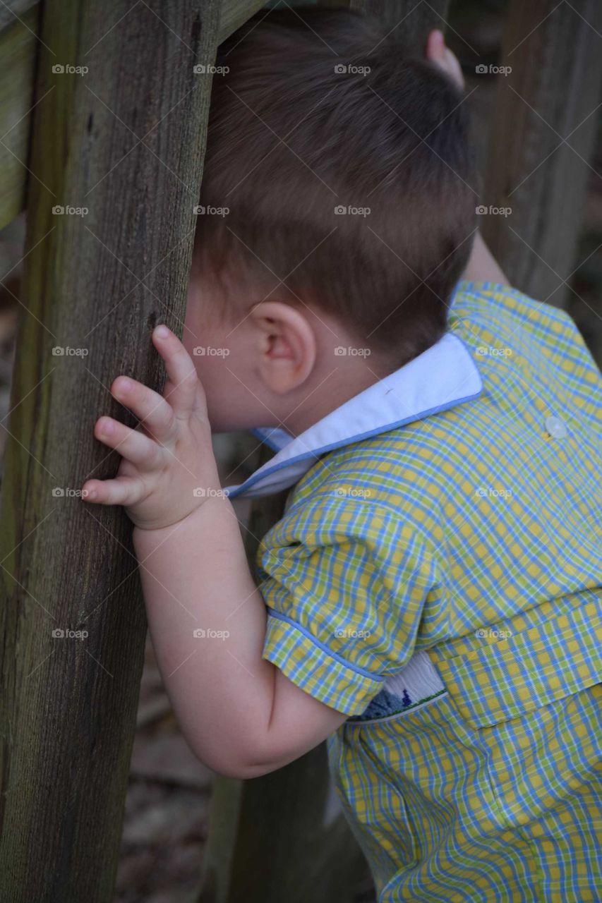 Baby boy at the zoo peeping at the animals