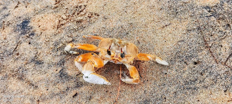 The way he is looking