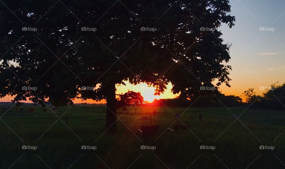 Take your place in the fields and leg the world stand still🥰