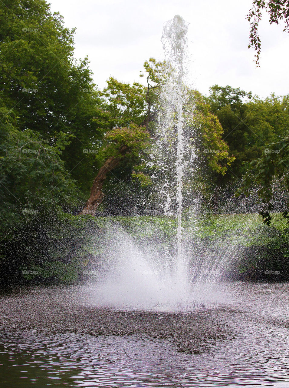 summer trees water park by chris7ben