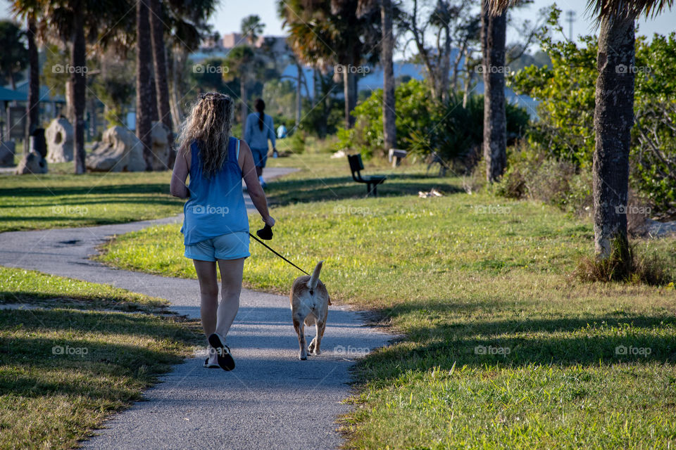 a nice evening dog walk