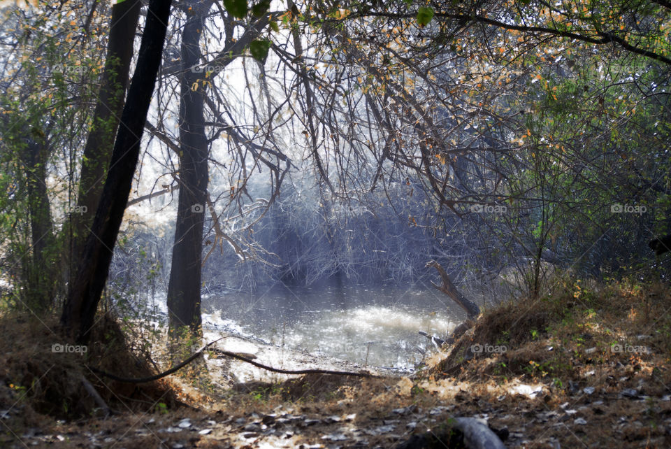 White light rays from the sun, an enchanting sight, trying to capture with my camera.