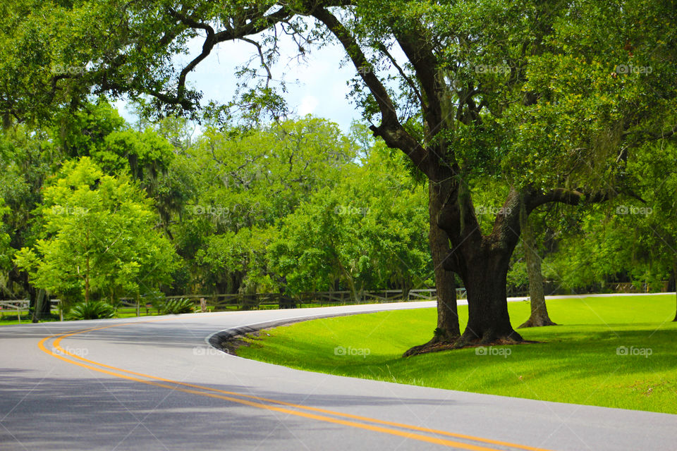 Winding roads