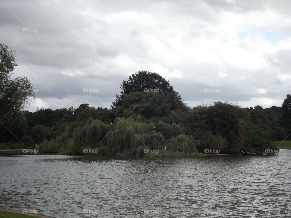 Island On The Lake