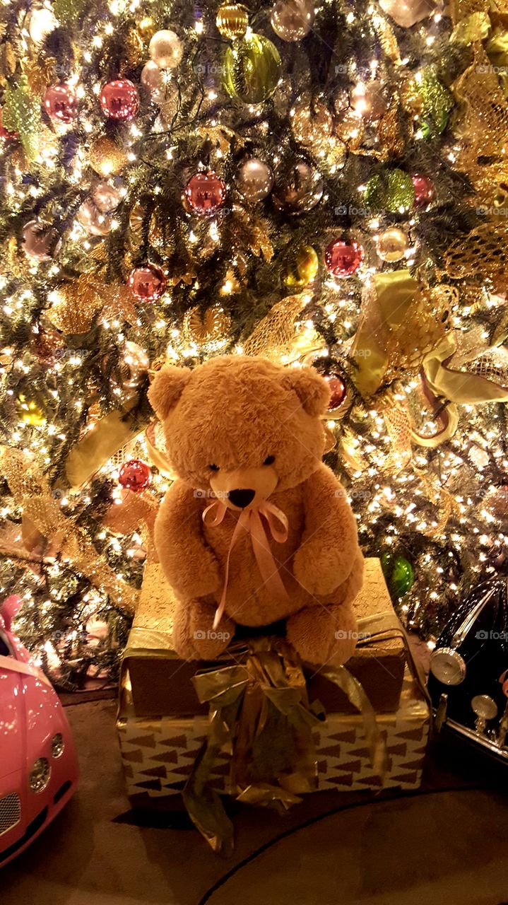 How it should be for everyone in the world