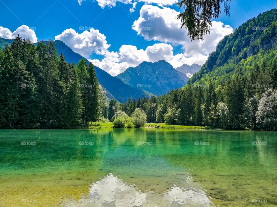 Spectacular landscape featuring green lake surrounded by lush forest in the mountains