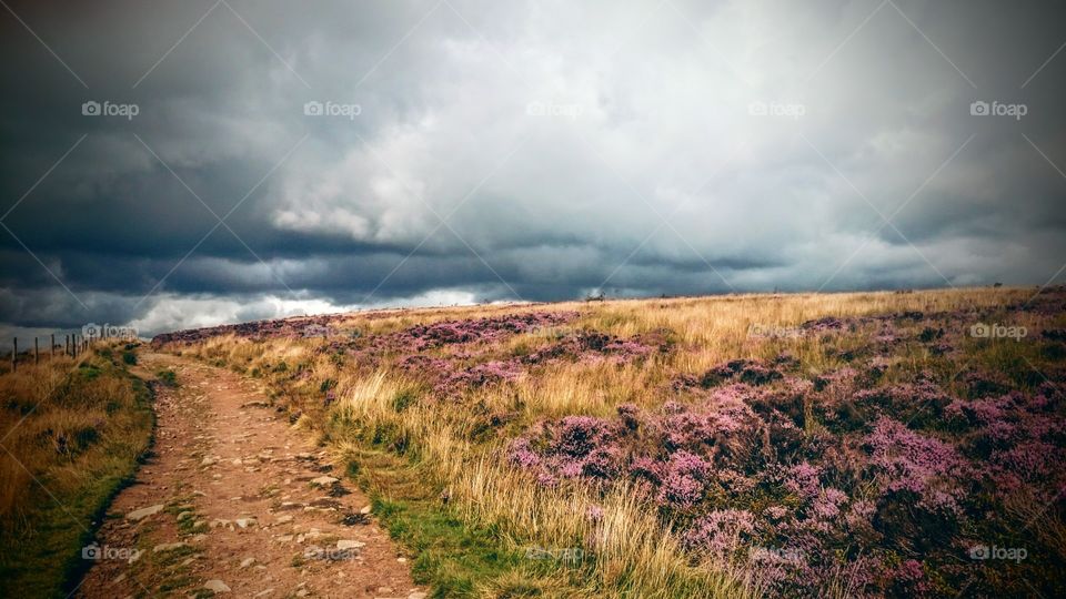 Storm clouds over field