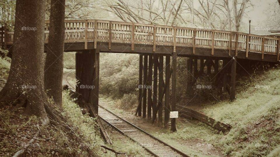 Bridge or train on this cold wet day?