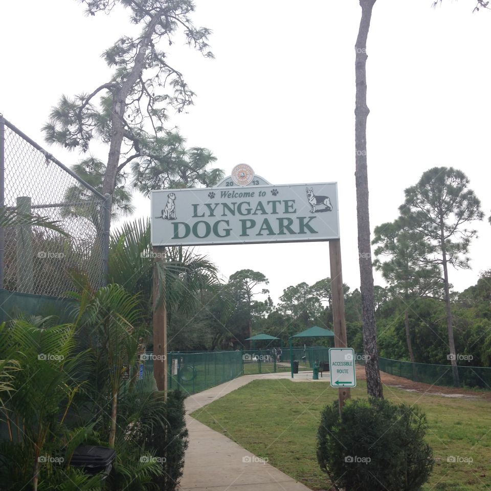 Dog park #2