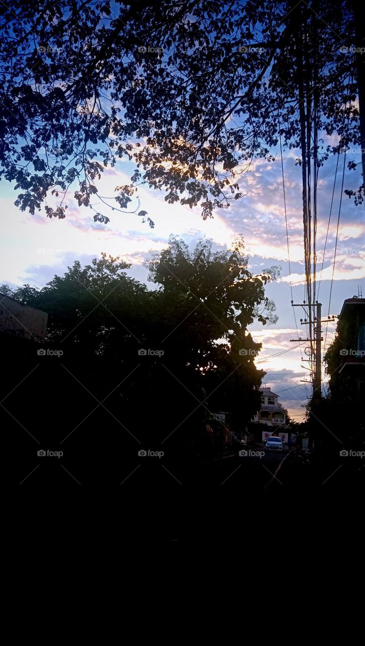 Every shot a unique emotions || The mid-day sun casts a golden light, illuminating the world vibrant colours and energy