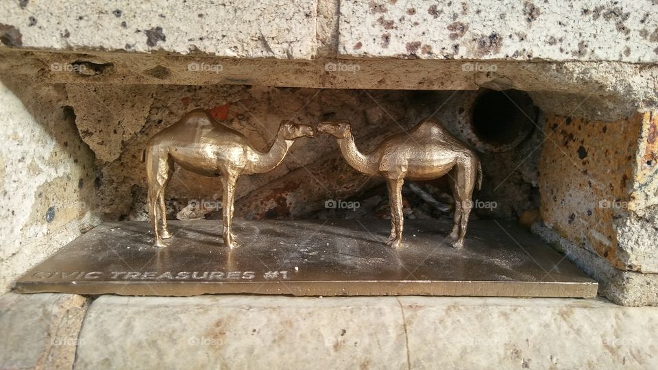 kissing camels statues