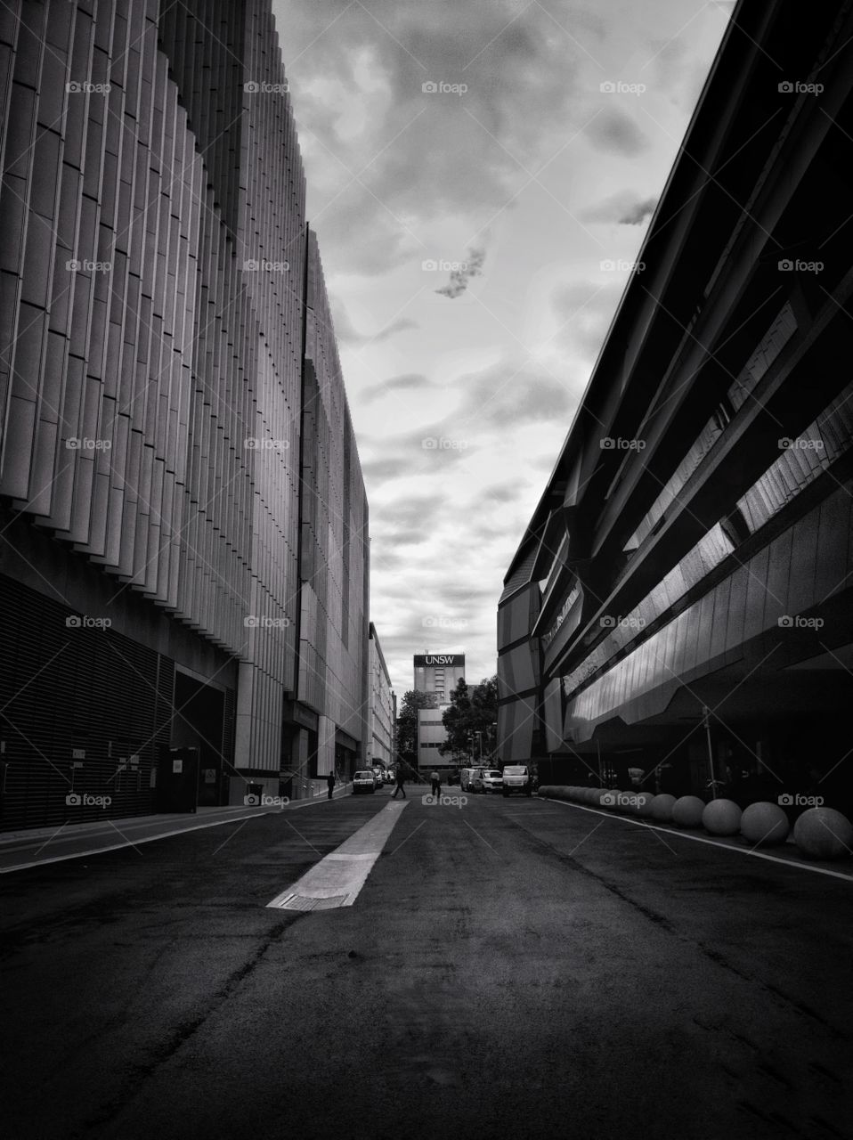 Monochrome image taken on Union Road of the University of New South Wales, Sydney, Australia. Low angle view.