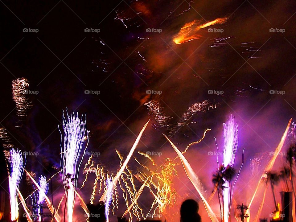 Fireworks by the ocean with palm tree silhouettes. 