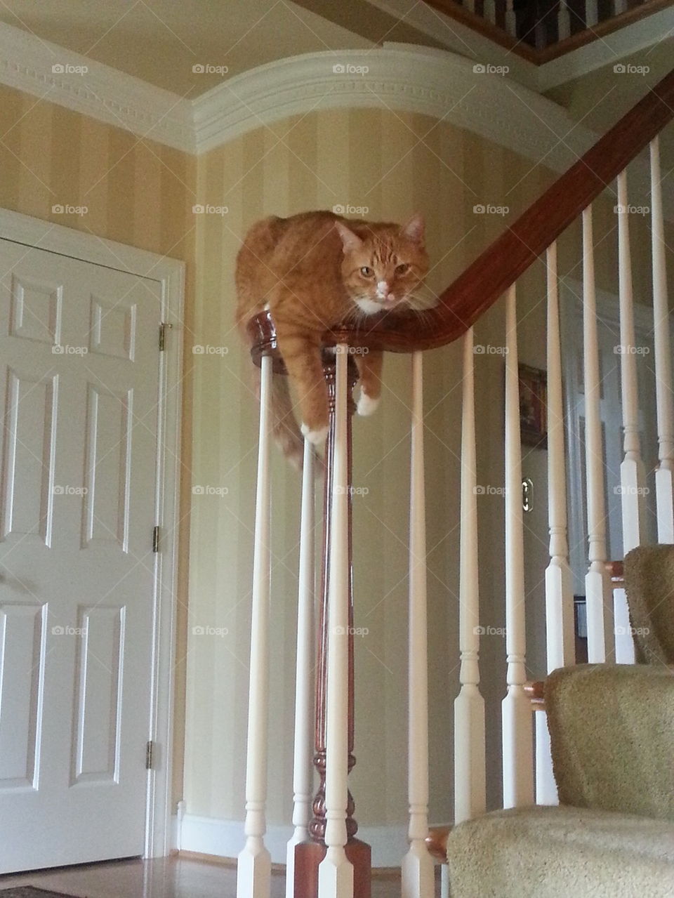 Banister Chilling 