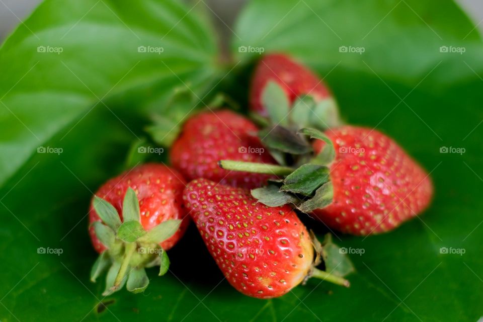 fresh strawberries
