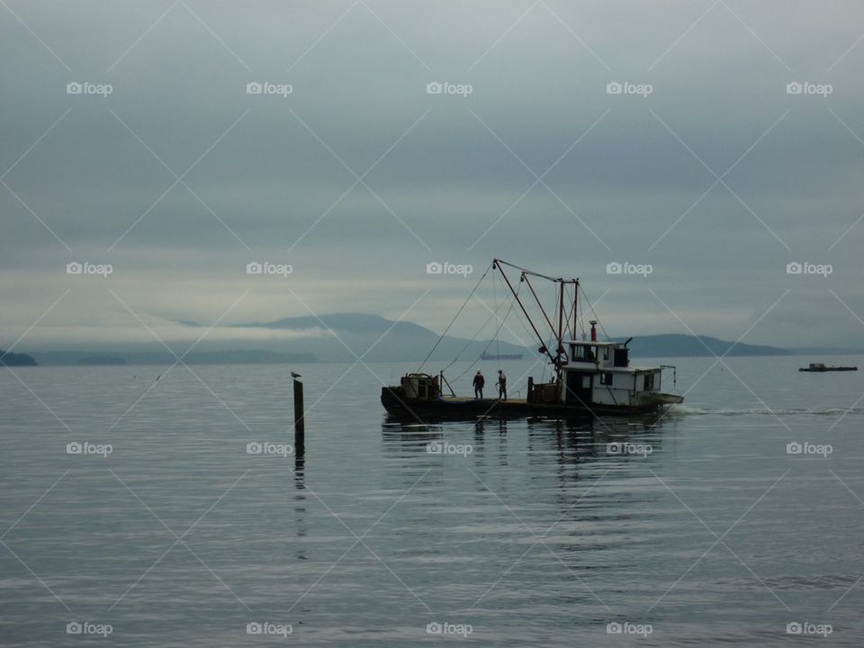 Oyster Fishers