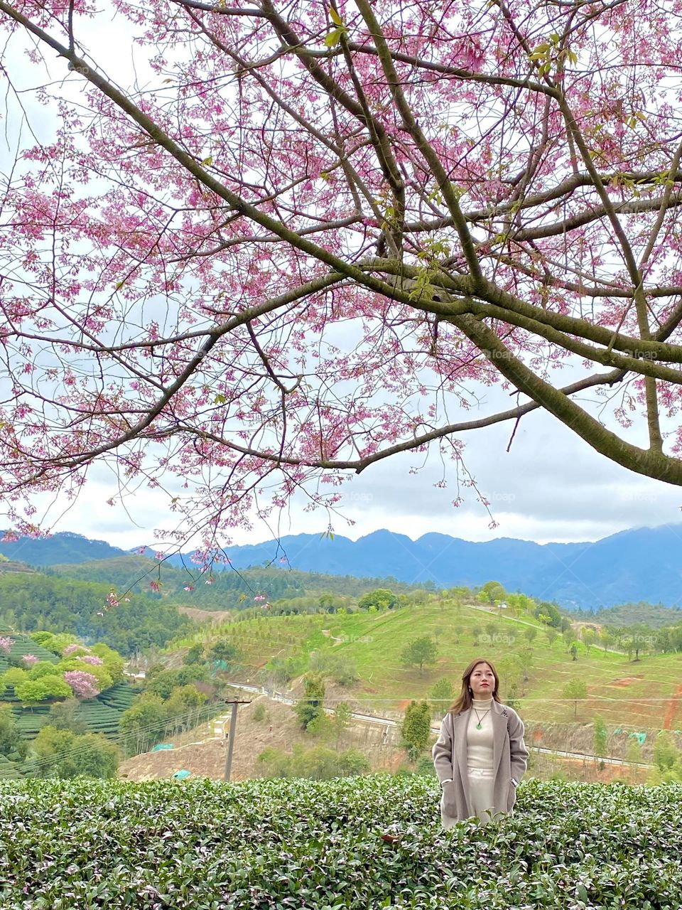 The flowers and the lady 