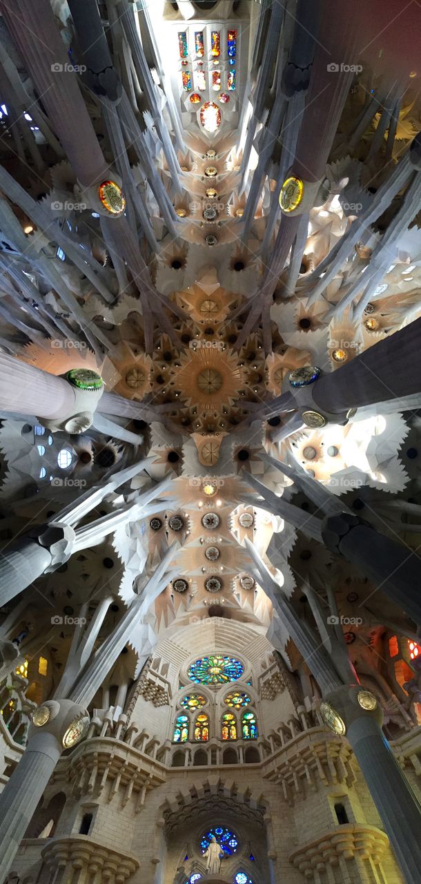 Ceiling of Sagrada Familia