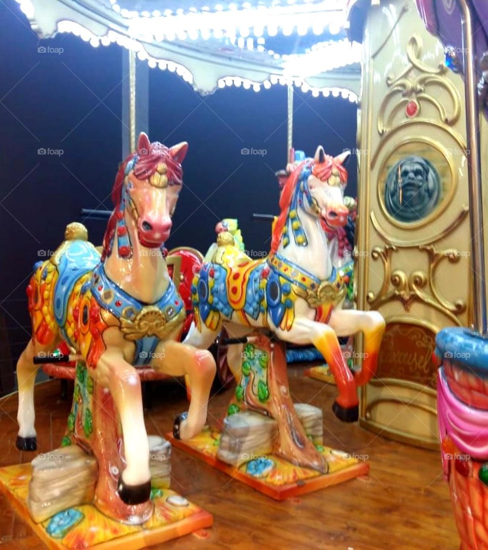 Carousel : Magic, Beauty, Fun, Movement, Music.  And the main thing, the beautiful and colorful horses that transport us to the world of joy with their swing and enchantment.