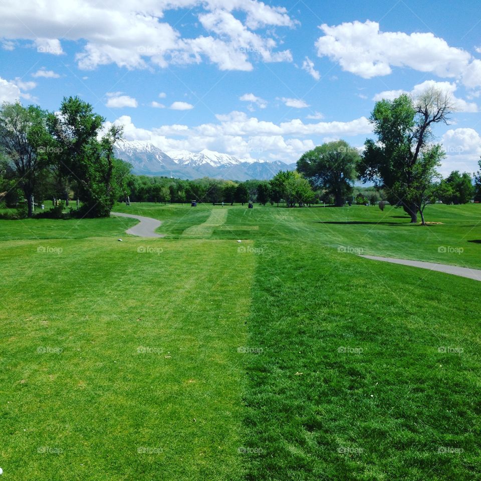 Golf, Grass, Lawn, Landscape, No Person