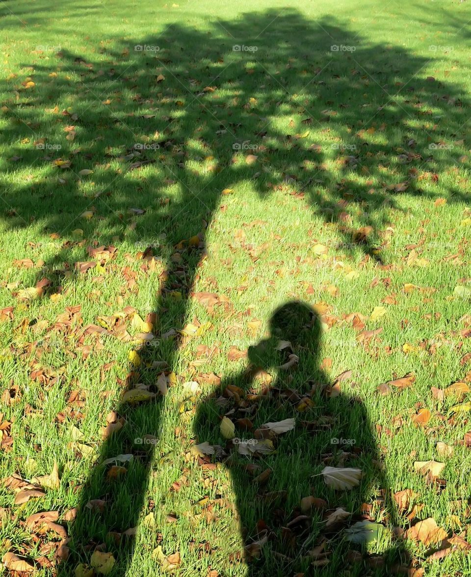 Photographer's  Shadow 
