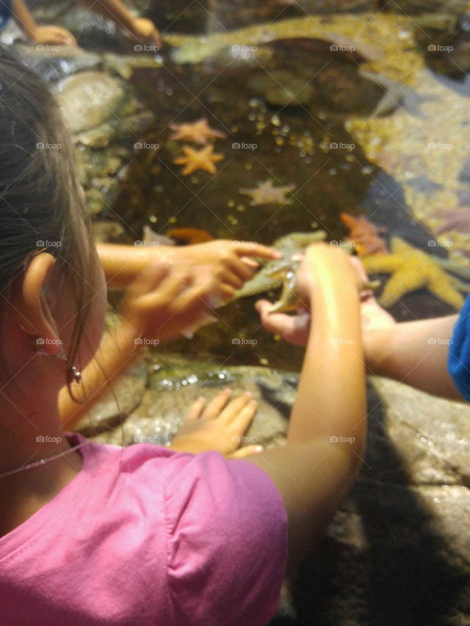 San Francisco Aquarium