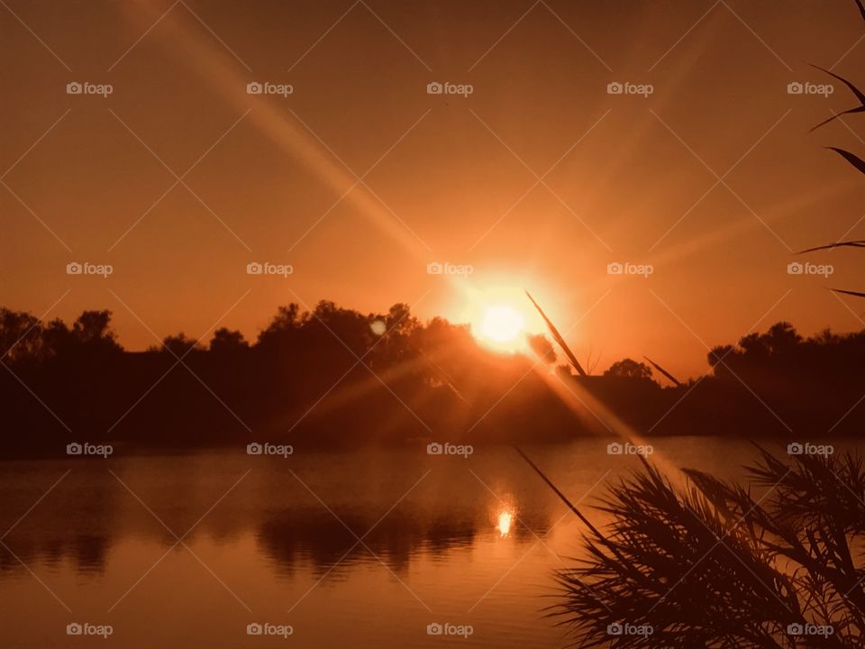 Taking a full sun pic can be rewarding. But Risky. This pic has excellent color, reflection and proved to be a wonderful picture. 