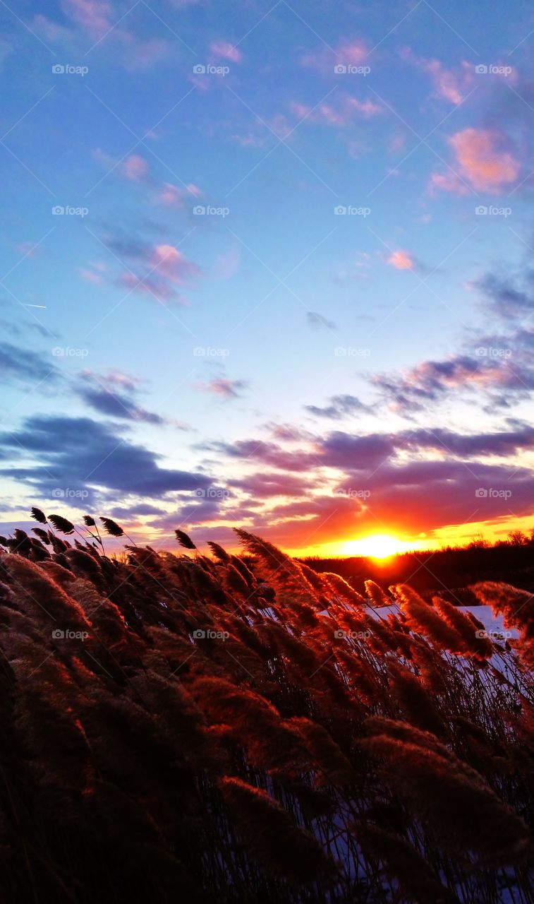 sunset Nebraska