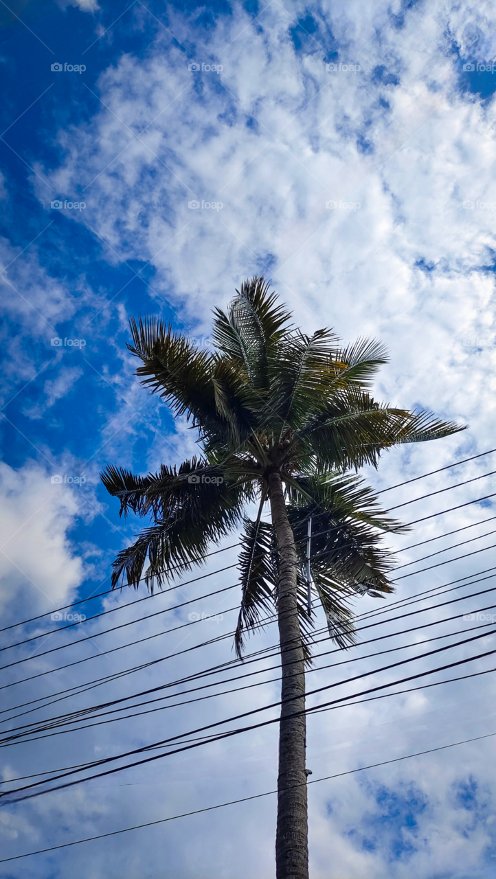 Just blues and greens